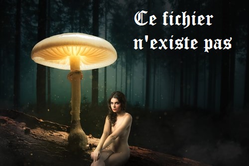 Image not found
