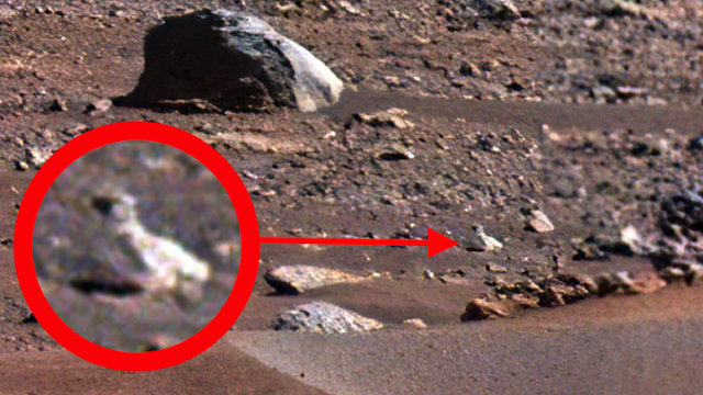 Un oiseau a-t-il photographié sur la planète Mars ?