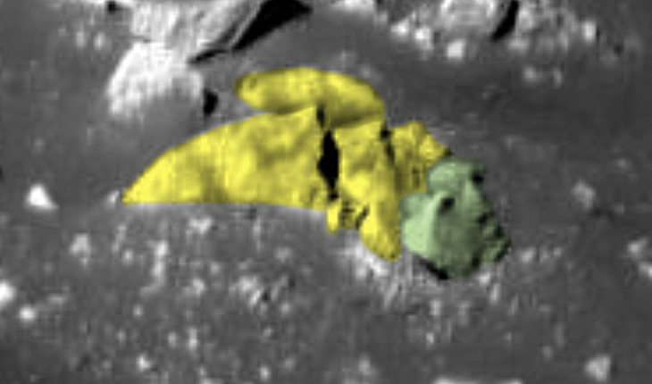 Un visage extraterrestre découvert sur la Lune