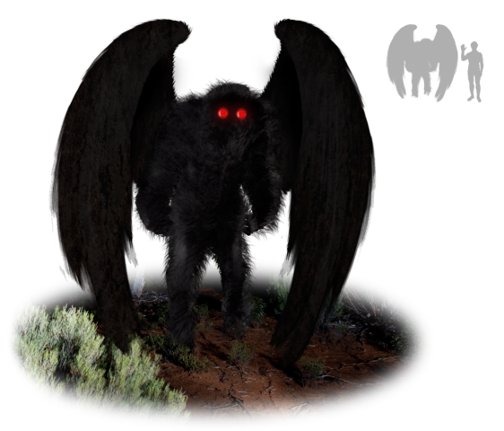 Le Mothman observé en juin 2022 dans l’Illinois
