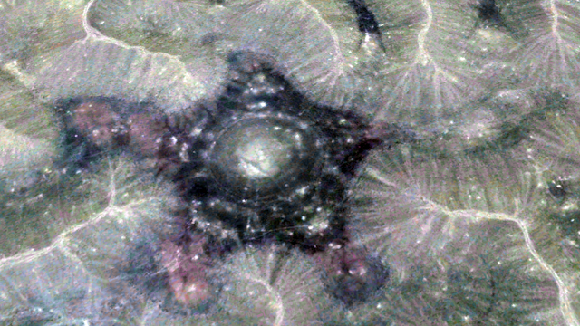 Un symbole extraterrestre trouvé en Algérie