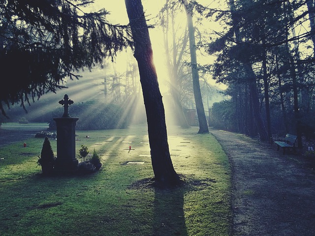 Défunt / mort