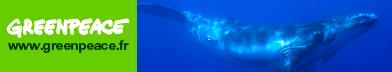 Greenpeace