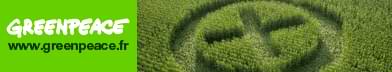 Greenpeace (2)