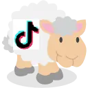 Compte TikTok